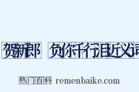 贺新郎·负你千行泪近义词是什么意思的图片